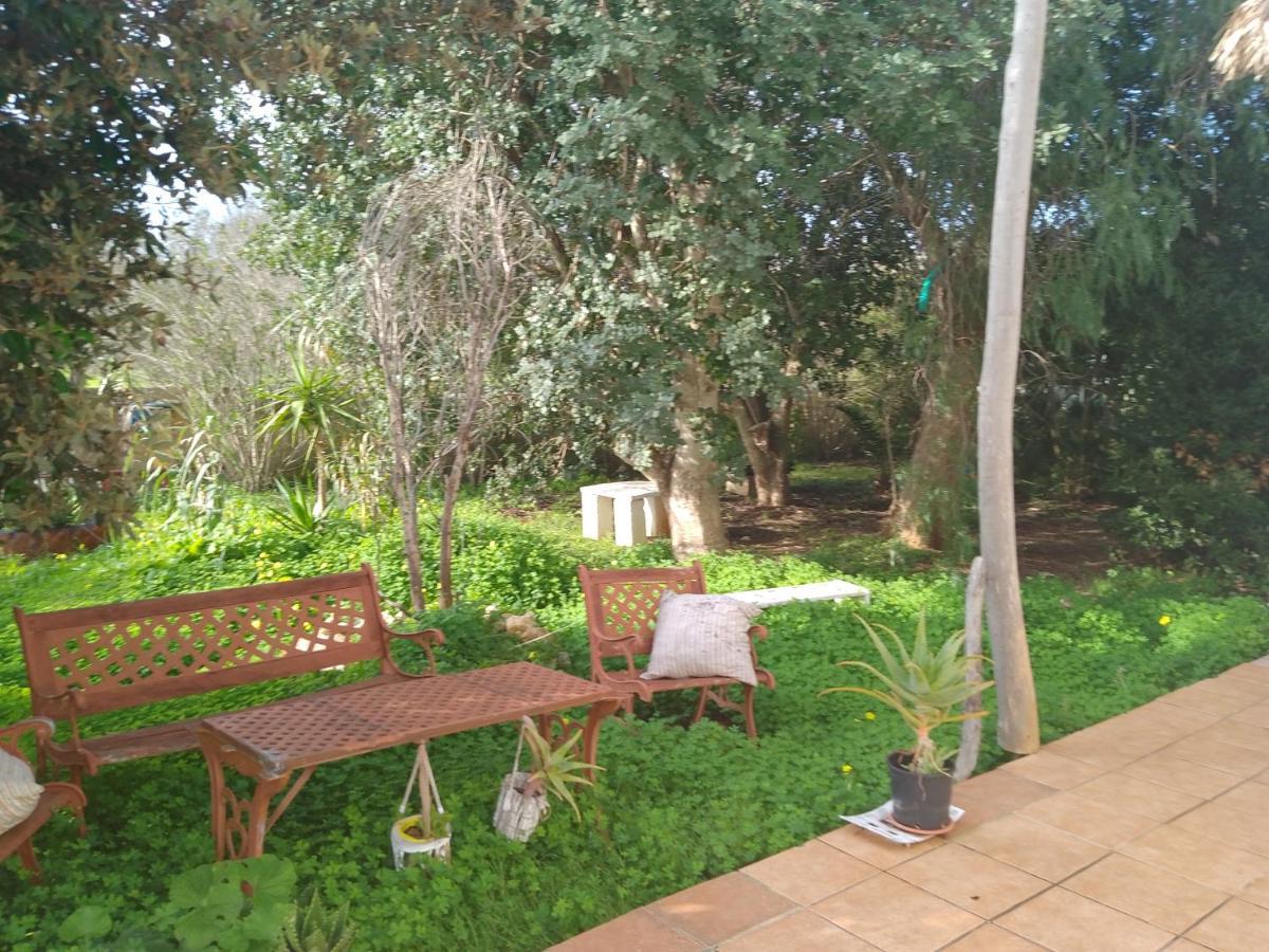 Cosy Residenze Villa Porto Cesareo Exterior photo